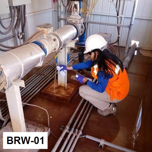 BRW-01