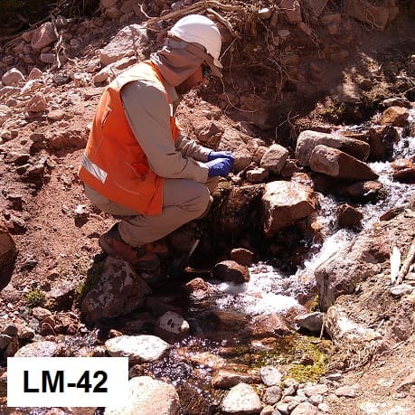 LM-42