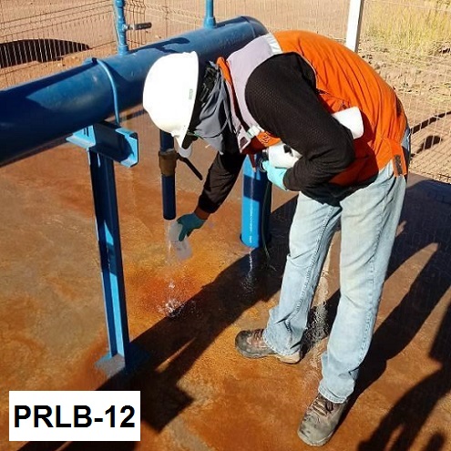 PRLB-12